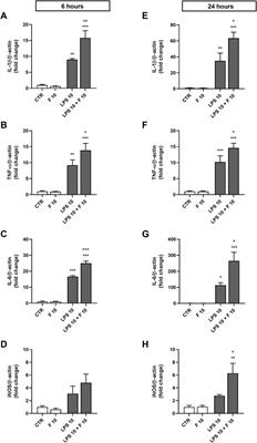 Fentanyl enhances immune cell response through TLR4/MD-2 complex